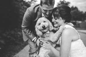 Pets no Casamento 