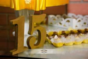 15 anos Isadora Buhler