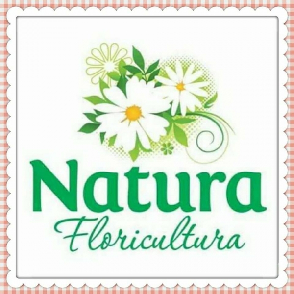 Natura Floricultura Arranjos para decorao Festas e Eventos.