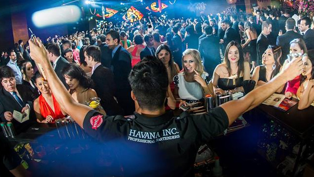Havana Inc Proficional Bartenders