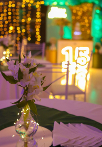  Espa�o Celebrar Festas e Eventos
