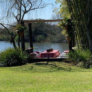 Picnic Boa Vista