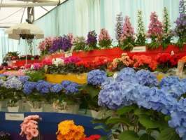 24 Expo Aflord em Aruj-SP