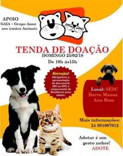 TENDA DE ADOO