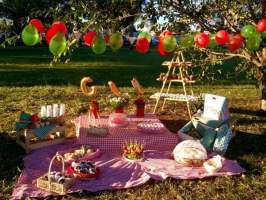 Me ocupa estacionamento de parque para uma festa infantil at com pipas