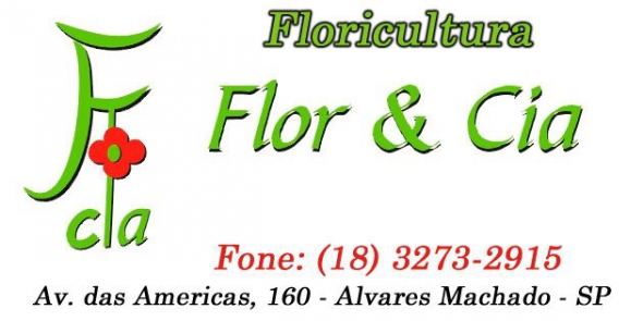 Flor e Cia