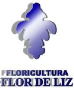 Flor de Liz