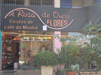 A ROSA DE OURO FLORES