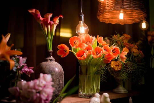 Divina Festas Especiais Decorao de Flores e Arranjos para Eventos