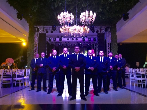 VIPSAFETY security for parties and events